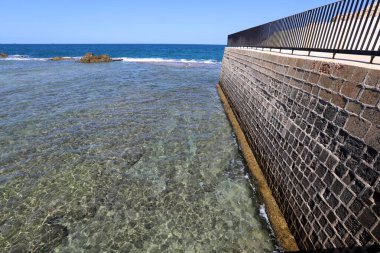 Akdeniz kıyısındaki çit çitleri..