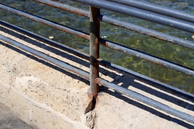 Akdeniz kıyısındaki çit çitleri..