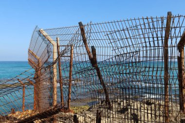 Akdeniz kıyısındaki çit çitleri..