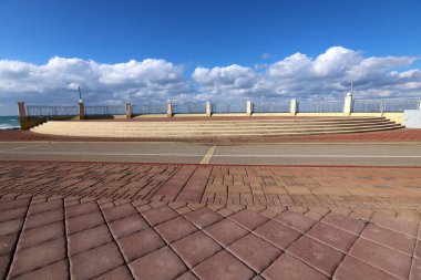 Akdeniz kıyısındaki çit çitleri..