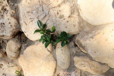 Taş ve betonun dokusu ve yapısı. Doğal arkaplan.
