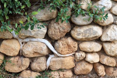 Taş ve betonun dokusu ve yapısı. Doğal arkaplan.
