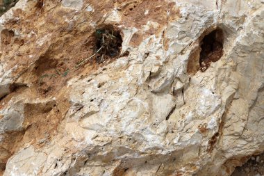 Taş ve betonun dokusu ve yapısı. Doğal arkaplan.