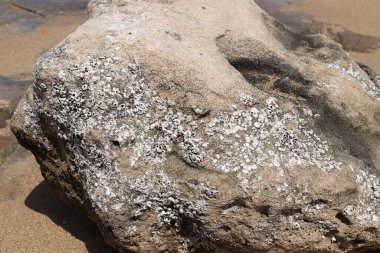 Taş ve betonun dokusu ve yapısı. Doğal arkaplan.