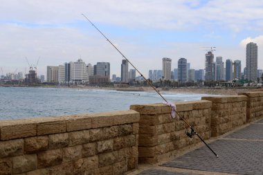 Tel Aviv İsrail 10-18-2024. Tel Aviv, Akdeniz kıyısında bir şehirdir..