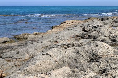 Kuzey İsrail 'deki Akdeniz kıyıları