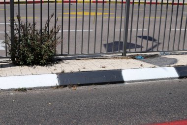 Yüksek çitler boyunca yeşil bitkiler ve çiçekler yetişir.