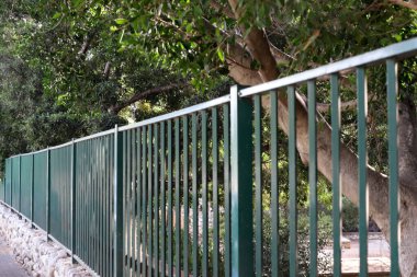 Yüksek çitler boyunca yeşil bitkiler ve çiçekler yetişir.