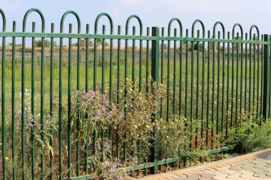 Yüksek çitler boyunca yeşil bitkiler ve çiçekler yetişir.