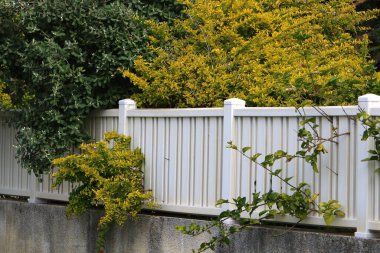 Yüksek çitler boyunca yeşil bitkiler ve çiçekler yetişir.