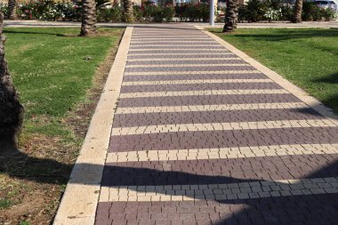 Şehir parkında yaya yolu.
