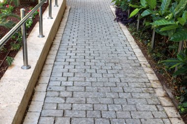 Şehir parkında yaya yolu.