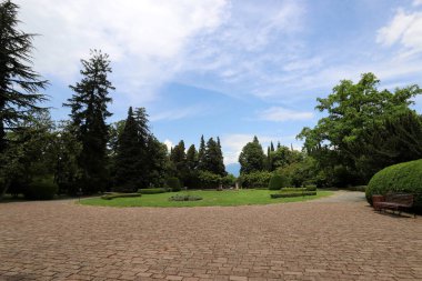 Şehir parkında yaya yolu.