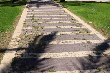 Şehir parkında yaya yolu.