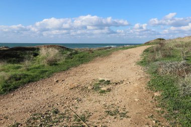 Şehir parkında yaya yolu.