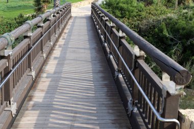 Şehir parkında yaya yolu.