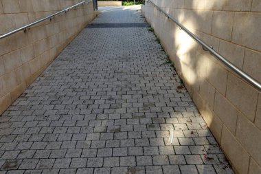 Şehir parkında yaya yolu.