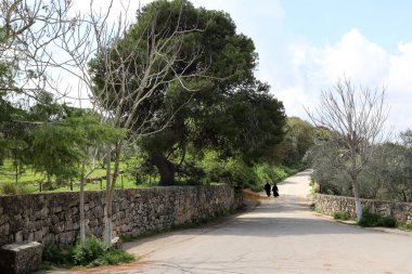 Şehir parkında yaya yolu.