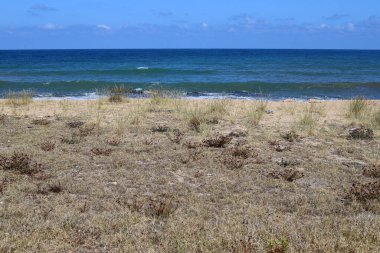 Kuzey İsrail 'deki Akdeniz kıyıları