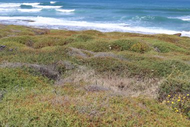 Kuzey İsrail 'deki Akdeniz kıyıları