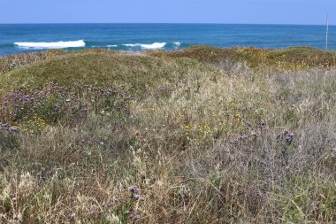 Kuzey İsrail 'deki Akdeniz kıyıları