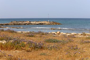 Kuzey İsrail 'deki Akdeniz kıyıları