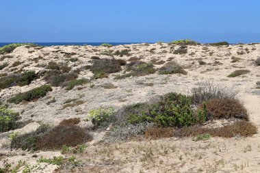 Kuzey İsrail 'deki Akdeniz kıyıları