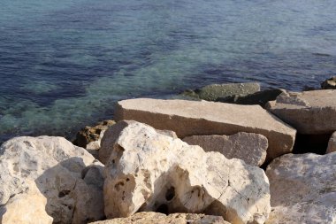 Kuzey İsrail 'deki Akdeniz kıyıları