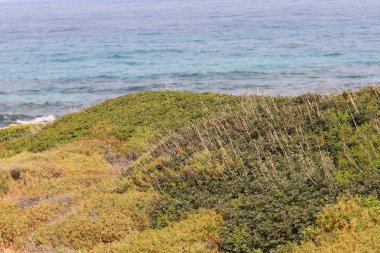 Kuzey İsrail 'deki Akdeniz kıyıları