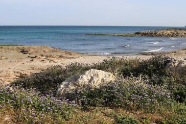 Kuzey İsrail 'deki Akdeniz kıyıları