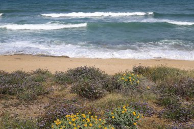 Kuzey İsrail 'deki Akdeniz kıyıları