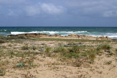 Kuzey İsrail 'deki Akdeniz kıyıları