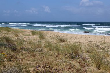 Kuzey İsrail 'deki Akdeniz kıyıları