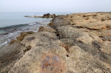 Kuzey İsrail 'deki Akdeniz kıyıları