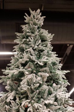 Yapay Noel ağaçları İsrail 'de bir mağazada satılıyor.