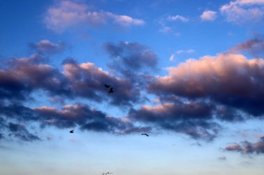 Beyaz bulutlar gökyüzünde süzülüyor