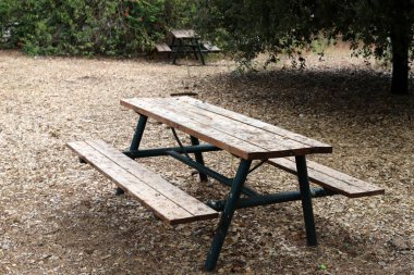 Şehir Parkı içinde kalan için tezgah