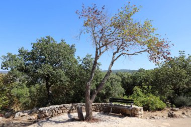 Şehir Parkı içinde kalan için tezgah