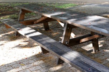 Şehir Parkı içinde kalan için tezgah