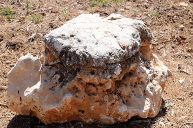 Akdeniz kıyısındaki bir şehir parkında büyük taşlar