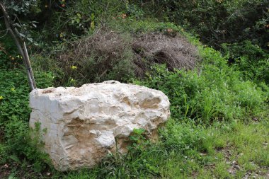 Akdeniz kıyısındaki bir şehir parkında büyük taşlar