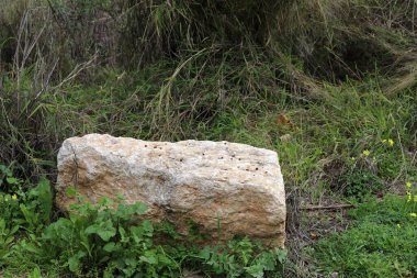 Akdeniz kıyısındaki bir şehir parkında büyük taşlar