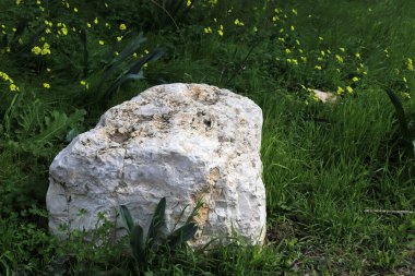 Akdeniz kıyısındaki bir şehir parkında büyük taşlar
