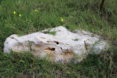 Akdeniz kıyısındaki bir şehir parkında büyük taşlar