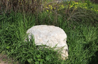 Akdeniz kıyısındaki bir şehir parkında büyük taşlar