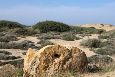 Akdeniz kıyısındaki bir şehir parkında büyük taşlar