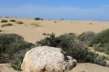 Akdeniz kıyısındaki bir şehir parkında büyük taşlar
