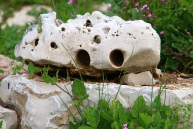 Akdeniz kıyısındaki bir şehir parkında büyük taşlar