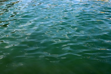 Akdeniz 'deki deniz dalgasının rengi..