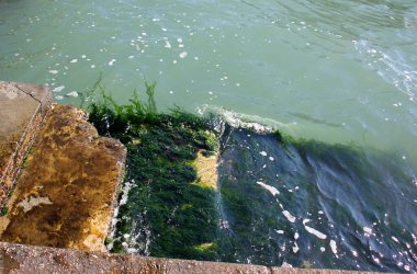 Akdeniz 'deki deniz dalgasının rengi..